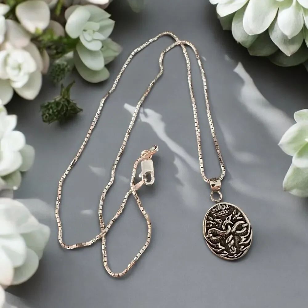 Sterling Silver Caduceus Necklace Sterling Silver Box Chain